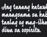 钟齐马善政毛笔楷书